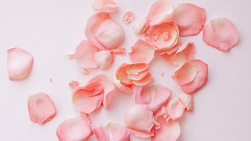 Two Ways To Use Rose In DIY Skincare