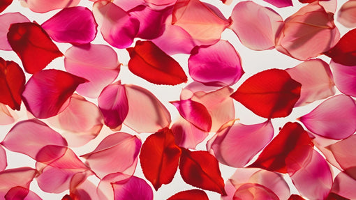 What’s Your Valentine’s Dosha? A Guide to Vata, Pitta & Kapha
