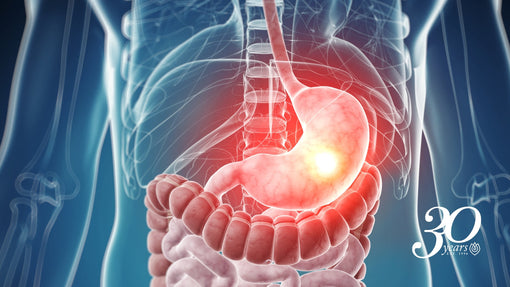 What Is Agni? The Ayurveda Guide to Digestive Fire - and 7 Signs Yours May Need Support