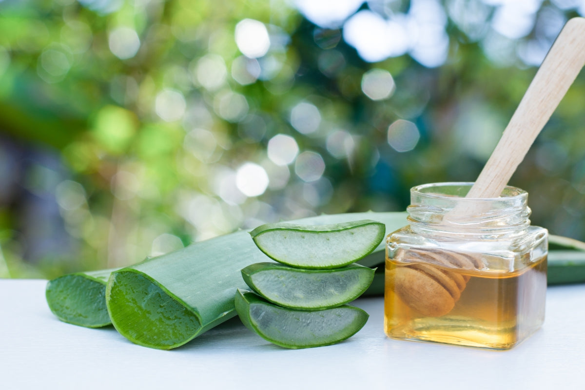 DIY: Cooling Aloe Vera and Honey Toner