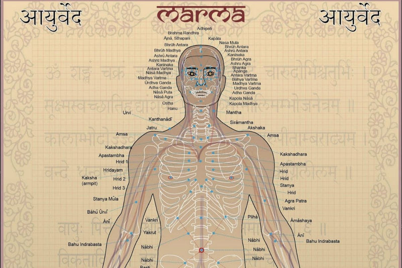 marma points on a sanskrit chart