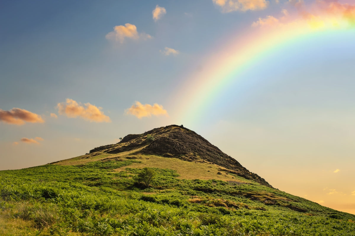 Take Time Out To Observe Your Environment And Tune In To Nature