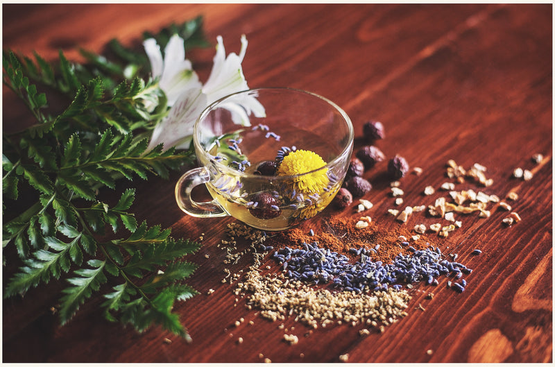 image of tea cup surrounded by various ayurvedic herbs