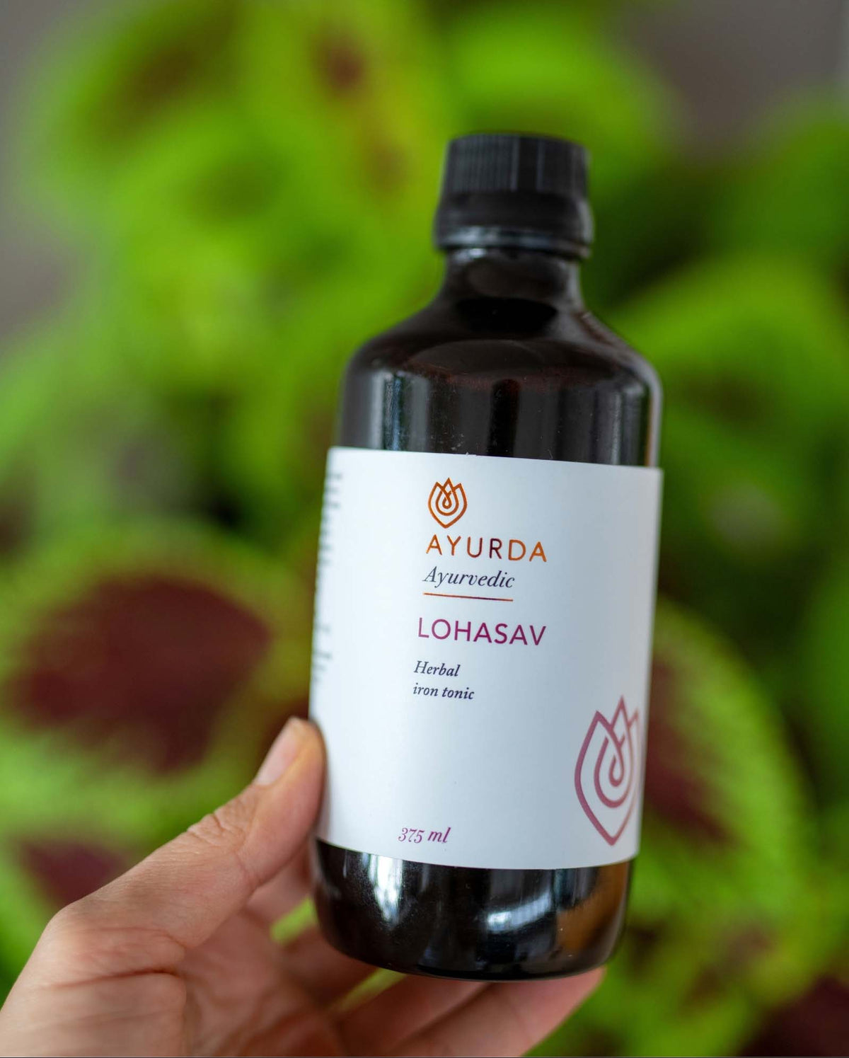 Lohasav