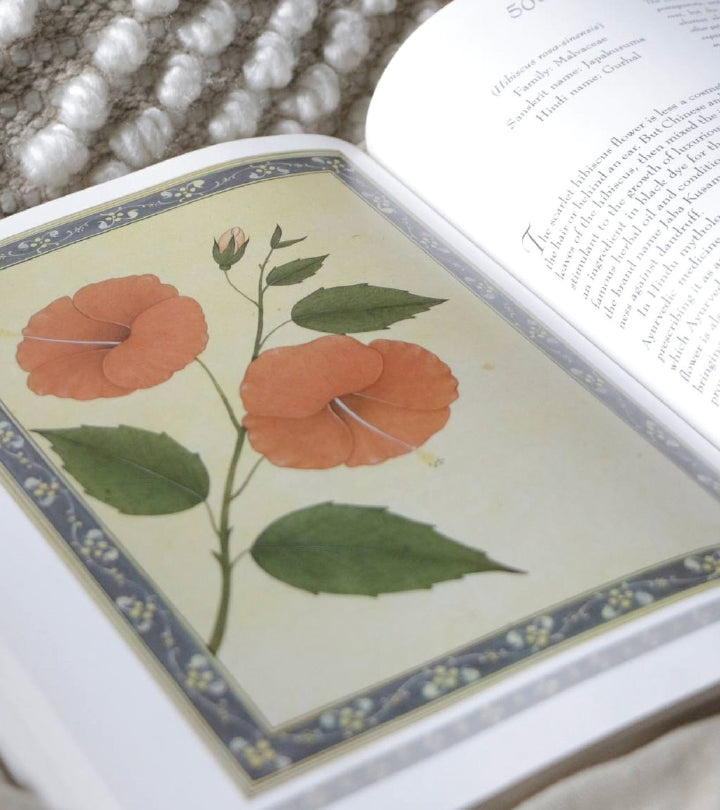 Ayurvedic healing traditions