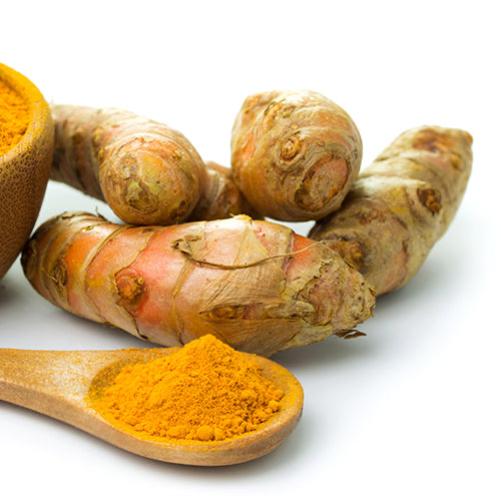 Key Herbs for Joint and Bone Health