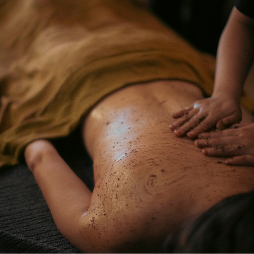 The Fascial Web: Your Body